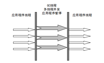ParNew收集器